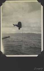 WWII NG Drury diving 1
