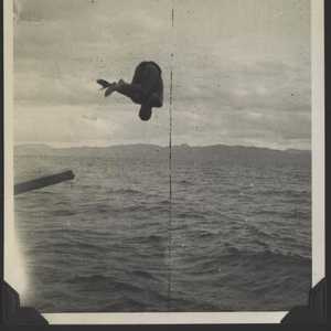 WWII NG Drury diving 1