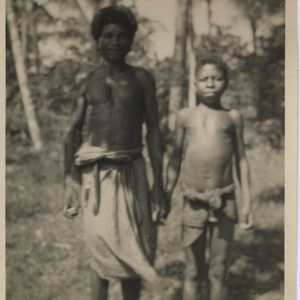 WWII NG population 1