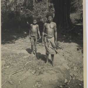 WWII NG population 2