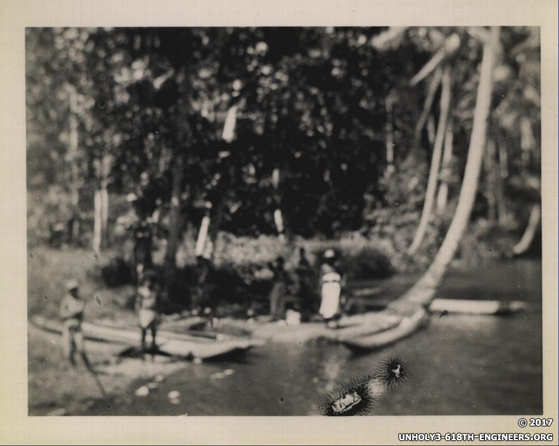 WWII people mangroves