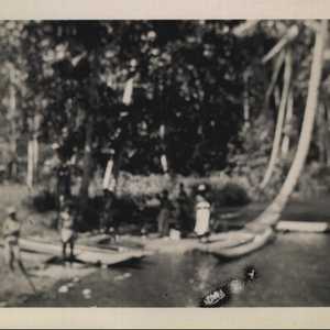 WWII people mangroves