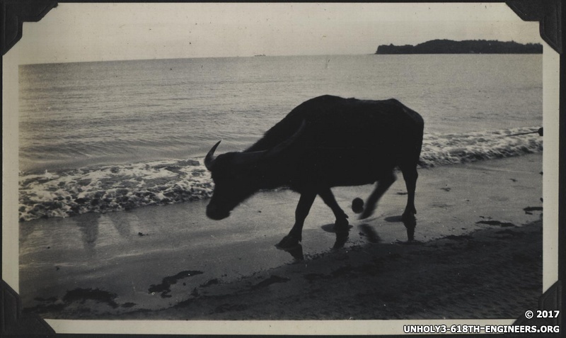 WWII PI buffalo beach 1