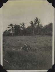 WWII NG rifle range 1