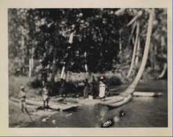 WWII people mangroves