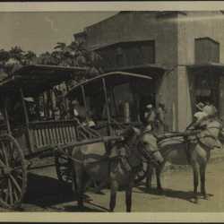 WWII PI donkey carts